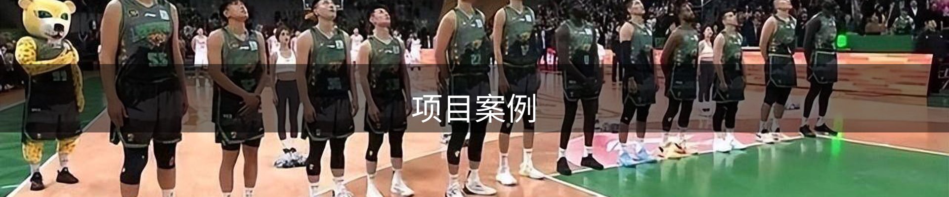 项目案例